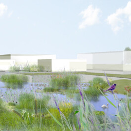 Onzgi-Neuchatel-Jeunes-Rives-2009-V 