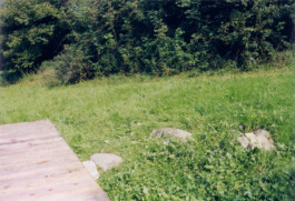 Onzgi