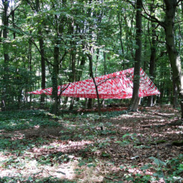 Onzgi-Somewhere-01-2015-V 