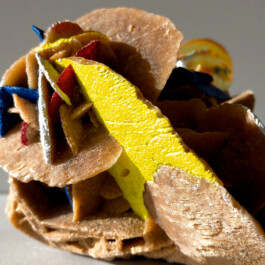 Onzgi-Time-Machine-2011-21-V 