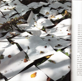 Onzgi-European-Prize-Of-Architecture-Philippe-Rotthier-2021-04.jpg